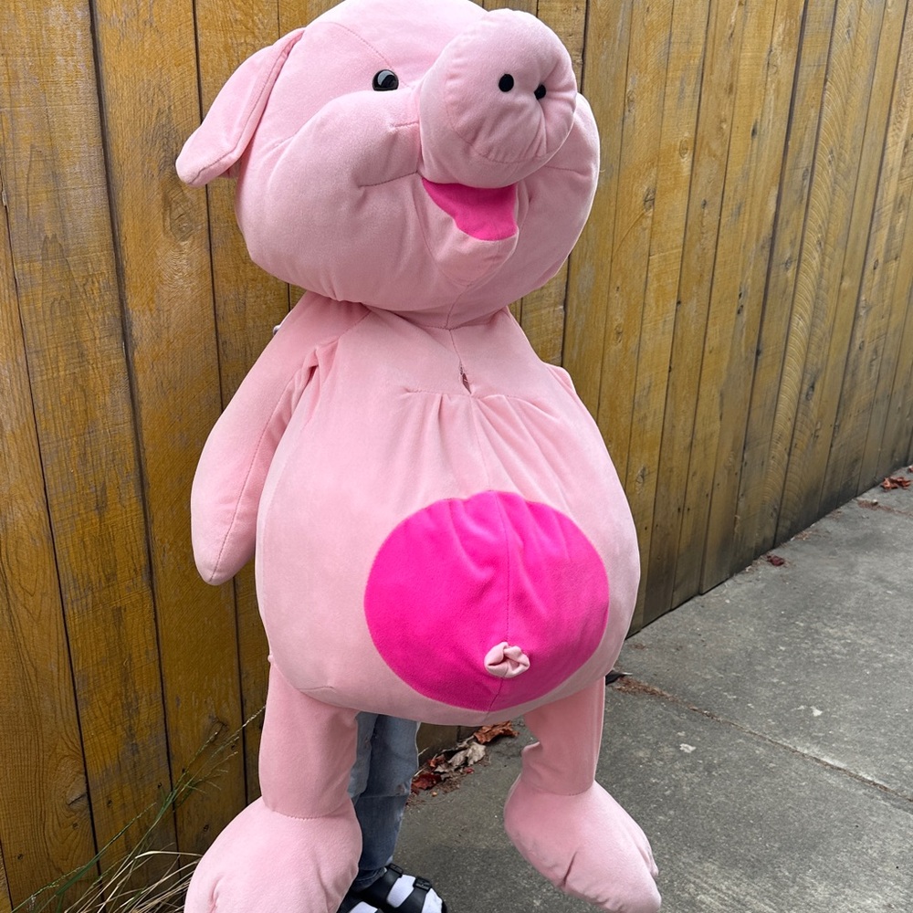 Pink Pig Plush Toy